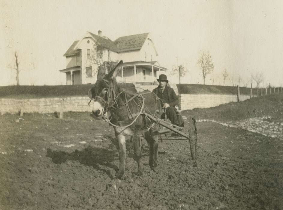 Animals, Iowa History, LeQuatte, Sue, Iowa, cart, IA, Farms, Travel, donkey, house, history of Iowa