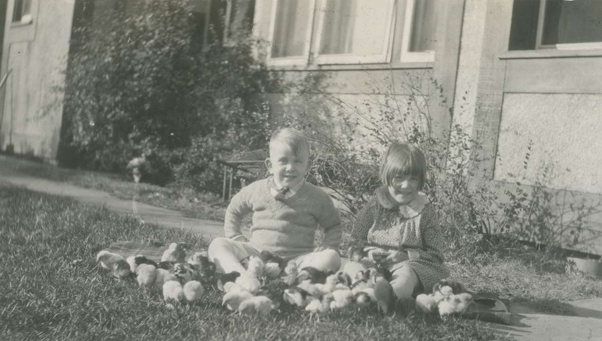 Portraits - Group, Animals, Iowa History, Iowa, siblings, chicks, McMurray, Doug, yard, Webster City, IA, Children, history of Iowa