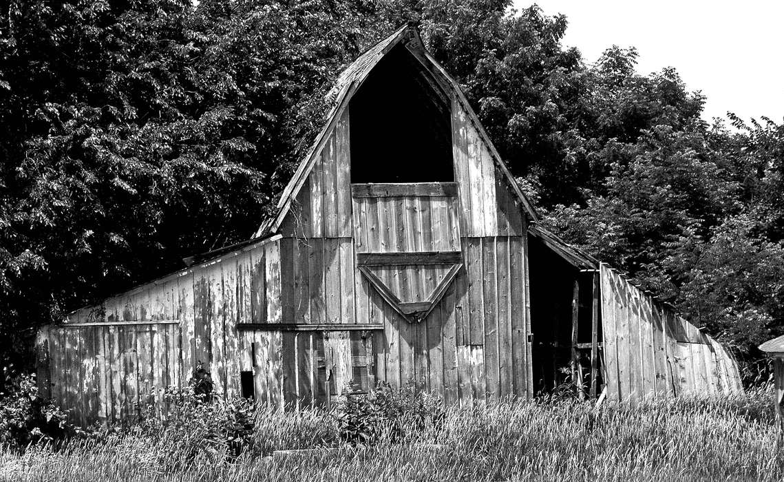 Landscapes, Iowa, grass, wood, Albia, IA, Barns, history of Iowa, Lemberger, LeAnn, tree, Iowa History