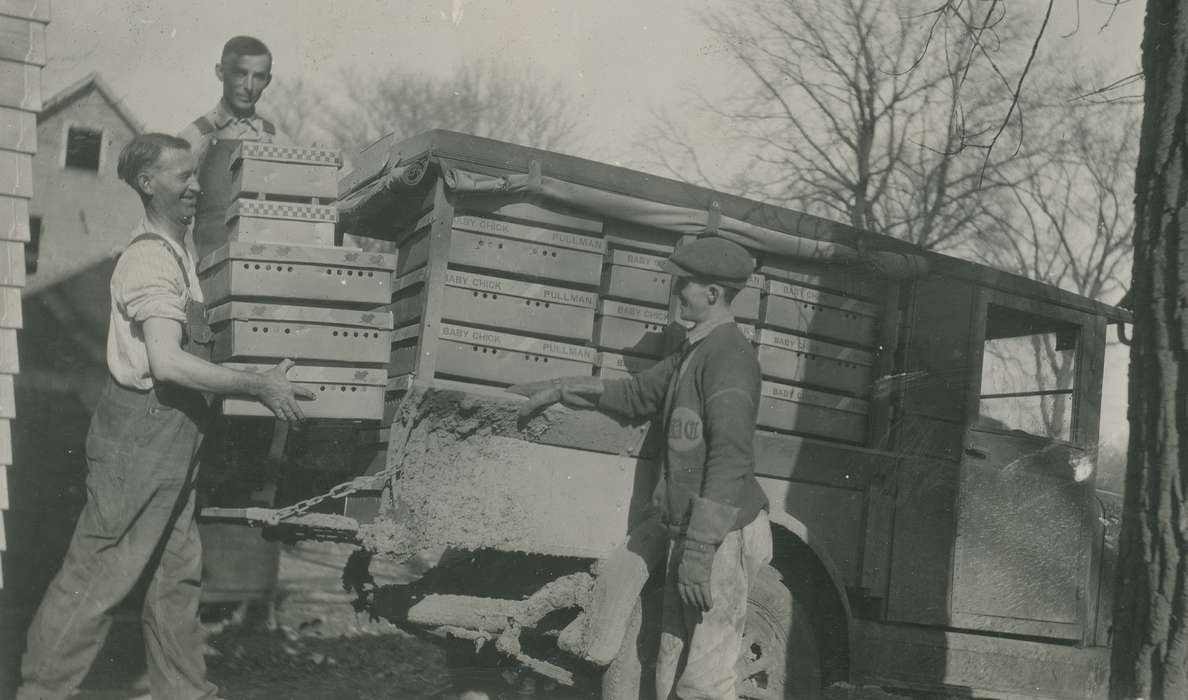 chicks, history of Iowa, Iowa History, truck, Motorized Vehicles, Webster City, IA, Animals, Iowa, McMurray, Doug, box, Labor and Occupations