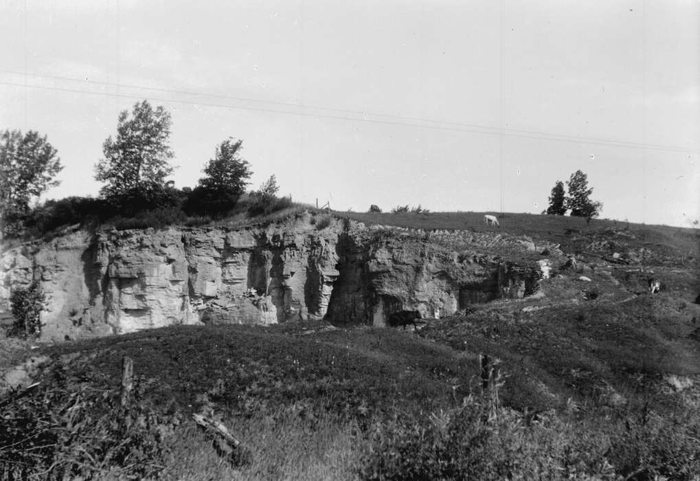 history of Iowa, Iowa History, Lemberger, LeAnn, Animals, limestone, rock, Iowa, Landscapes, Stone City, IA, horse, bluff, stone city art colony