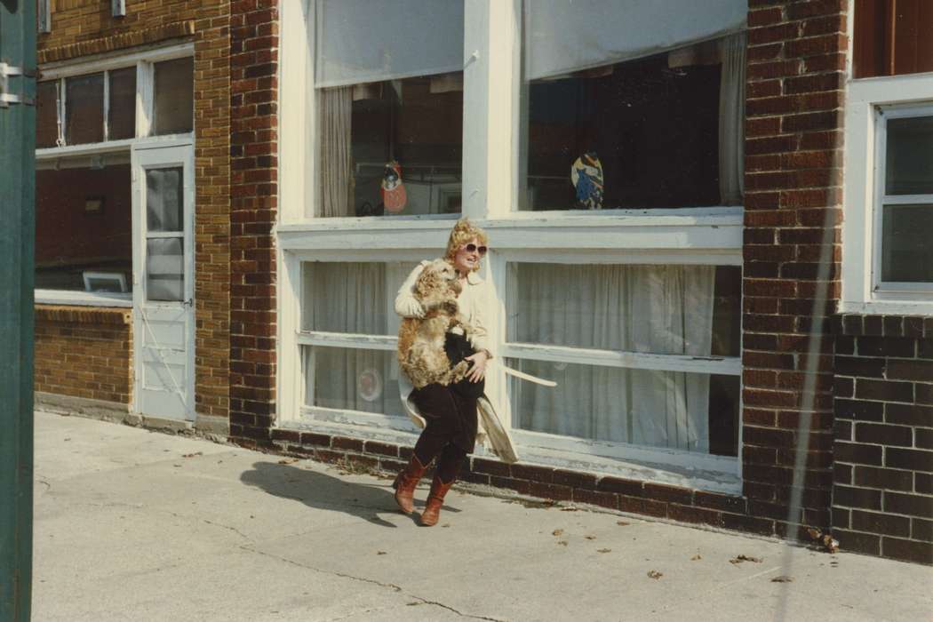 history of Iowa, Iowa History, Animals, Peck, Dona, Postville, IA, sunglasses, Iowa, cocker spaniel, dog