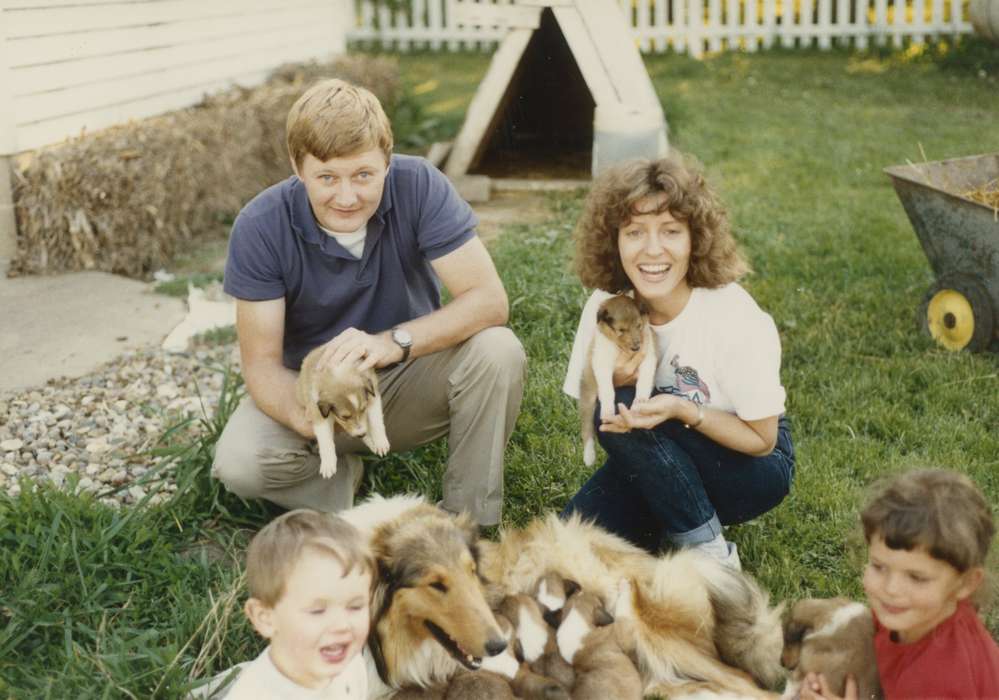 Portraits - Group, Animals, Iowa History, Iowa, collie, puppies, Albion, IA, dog, Siebring, Kathy, history of Iowa