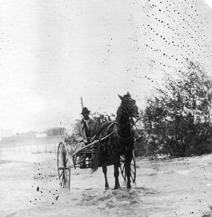 Travel, Floods, history of Iowa, Animals, Iowa, Curtis, Leonard, carriage, road, horse, Iowa History, Hamilton County, IA