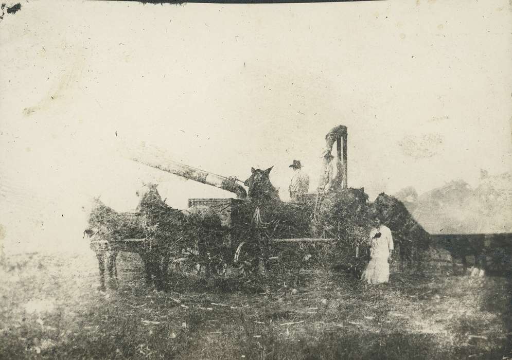 Animals, Iowa History, Iowa, field, horse, IA, Farms, Neessen, Ben, Farming Equipment, history of Iowa