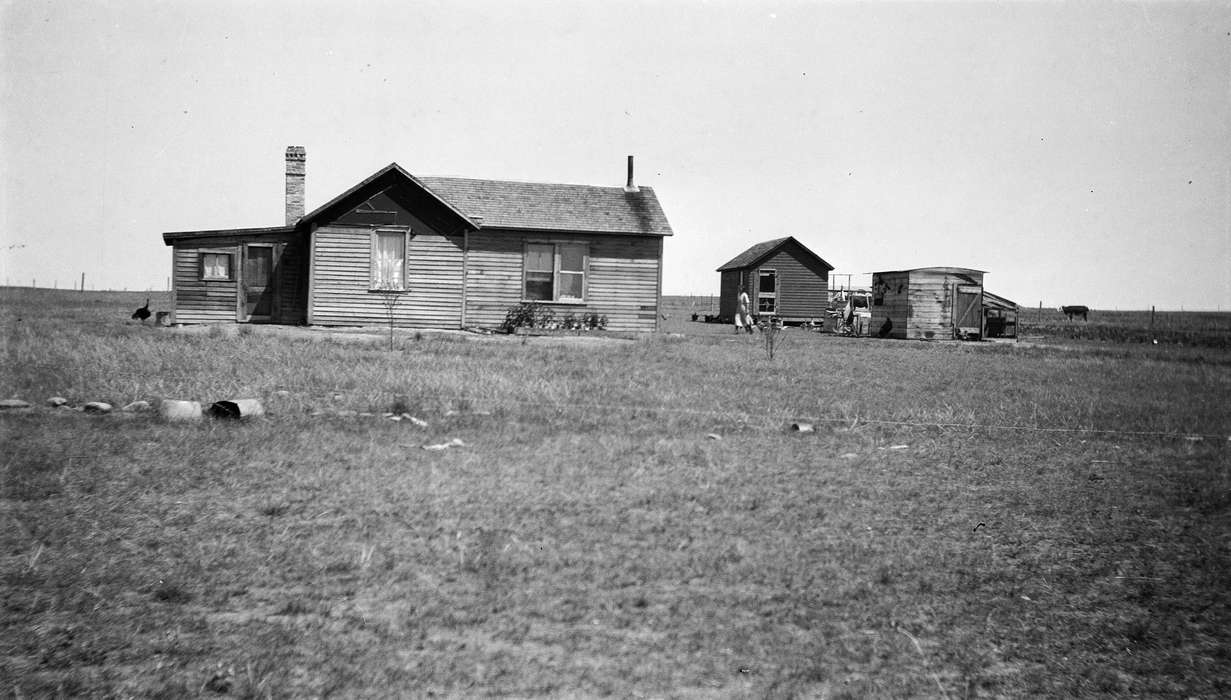 Homes, history of Iowa, Iowa, University of Northern Iowa Museum, Iowa History, Farms, MT