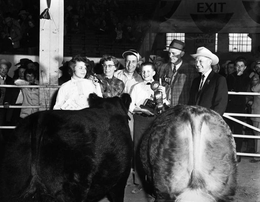 bull, Fairs and Festivals, Iowa History, Iowa, history of Iowa, Animals, prize, Buch, Kaye, Des Moines, IA