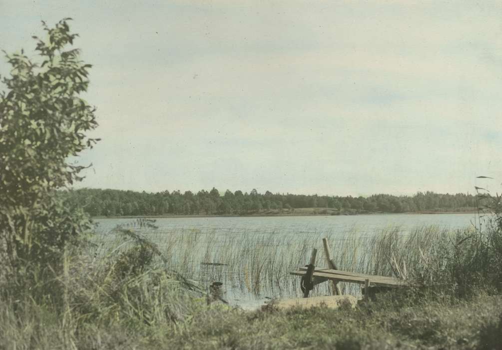 reed, Iowa History, Lakes, Rivers, and Streams, colorized, dock, nature, lake, Iowa, McMurray, Doug, Travel, history of Iowa, Longville, MN, Landscapes