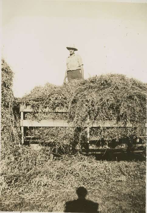 Iowa History, Iowa, IA, hay, Farms, Hansen, Viola, Farming Equipment, history of Iowa