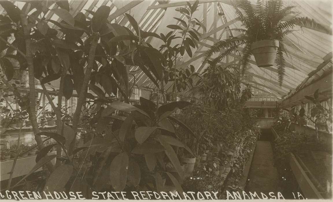 history of Iowa, Iowa, Iowa History, anamosa state penitentiary, Anamosa, IA, Prisons and Criminal Justice, Hatcher, Cecilia