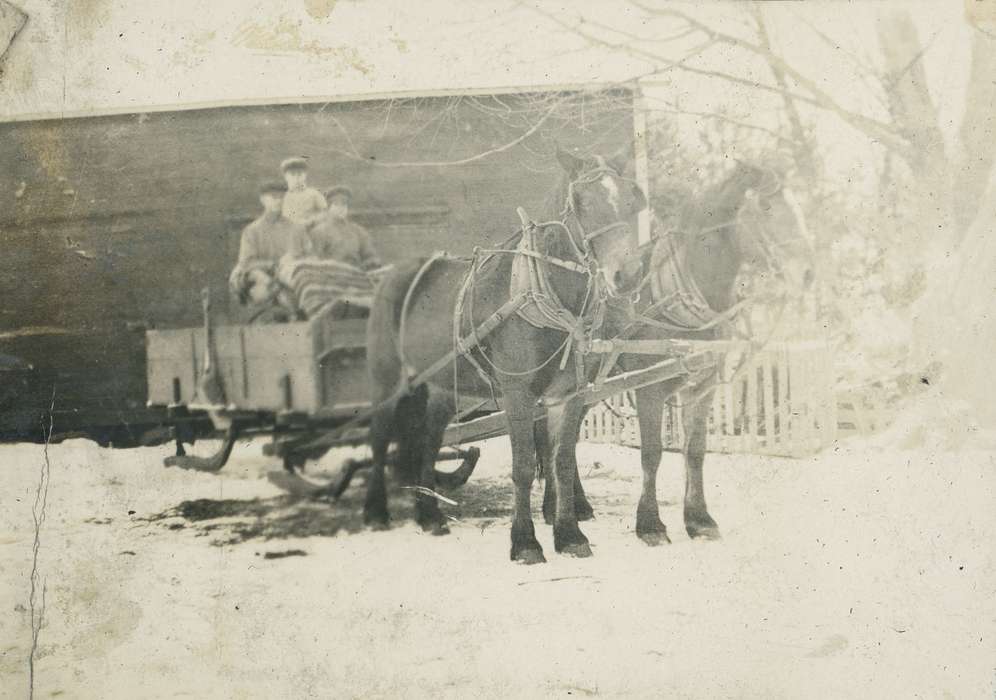 sleigh, Neessen, Ben, winter, Iowa History, Iowa, history of Iowa, Portraits - Group, Animals, IA, horse, snow