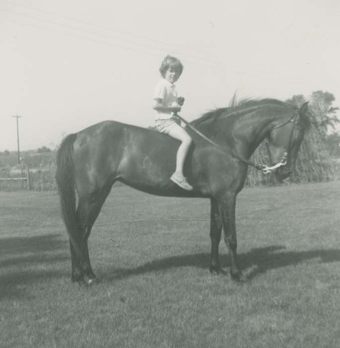 harness, riding, Marks, Wanda, Iowa History, Iowa, history of Iowa, Portraits - Individual, Animals, trotting, grass, IA, horse, feild