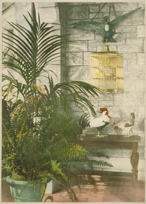 bird, chicken, Groton, CT, Iowa History, Archives & Special Collections, University of Connecticut Library, Iowa, history of Iowa