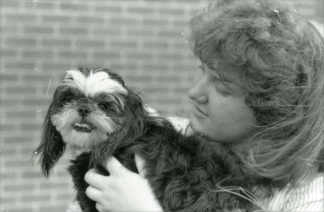 Animals, Iowa History, Iowa, Schools and Education, university of northern iowa, hairstyle, uni, dog, UNI Special Collections & University Archives, Cedar Falls, IA, history of Iowa