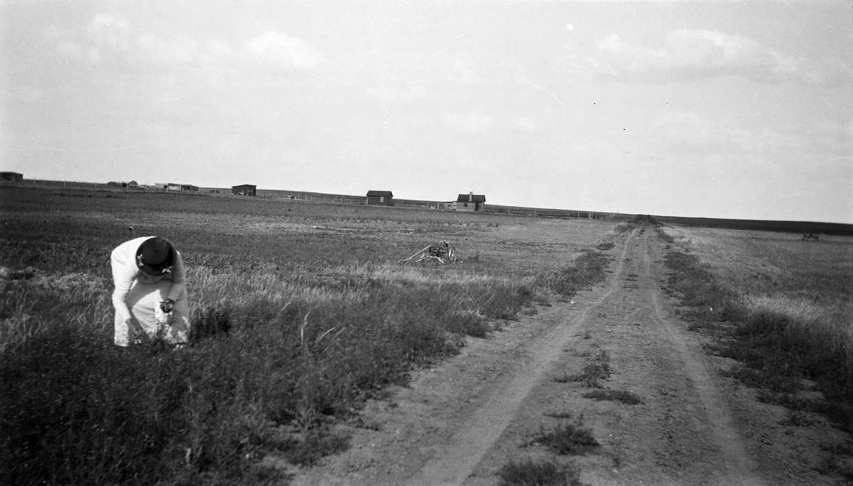 history of Iowa, Iowa History, University of Northern Iowa Museum, MT, Barns, field, Iowa, Homes, Farms