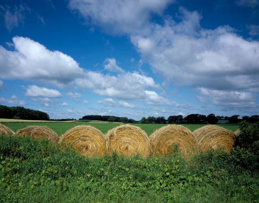 hay field, hay bale, Highsmith, Carol, Iowa History, Iowa, Farms, history of Iowa, Landscapes, clouds
