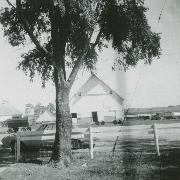 Clarion, IA, Iowa History, history of Iowa, Motorized Vehicles, car, Iowa, tree, Farms, Kolb, Elaine