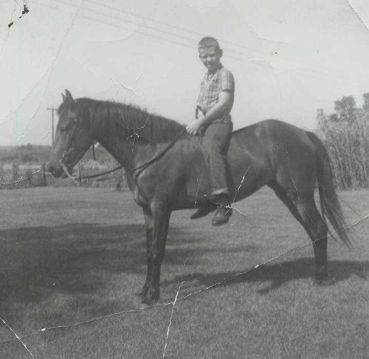 history of Iowa, Plainfield, IA, Animals, Iowa, Marks, Wanda, Portraits - Individual, horse, Iowa History