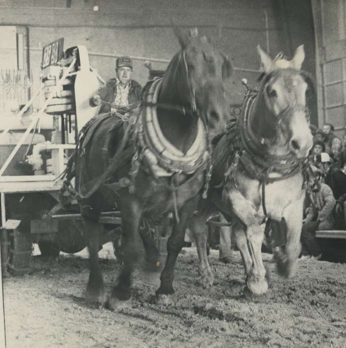 Waverly Public Library, history of Iowa, Iowa History, auction, Waverly, IA, horse drawn wagon, Iowa, horses, horse show, Labor and Occupations