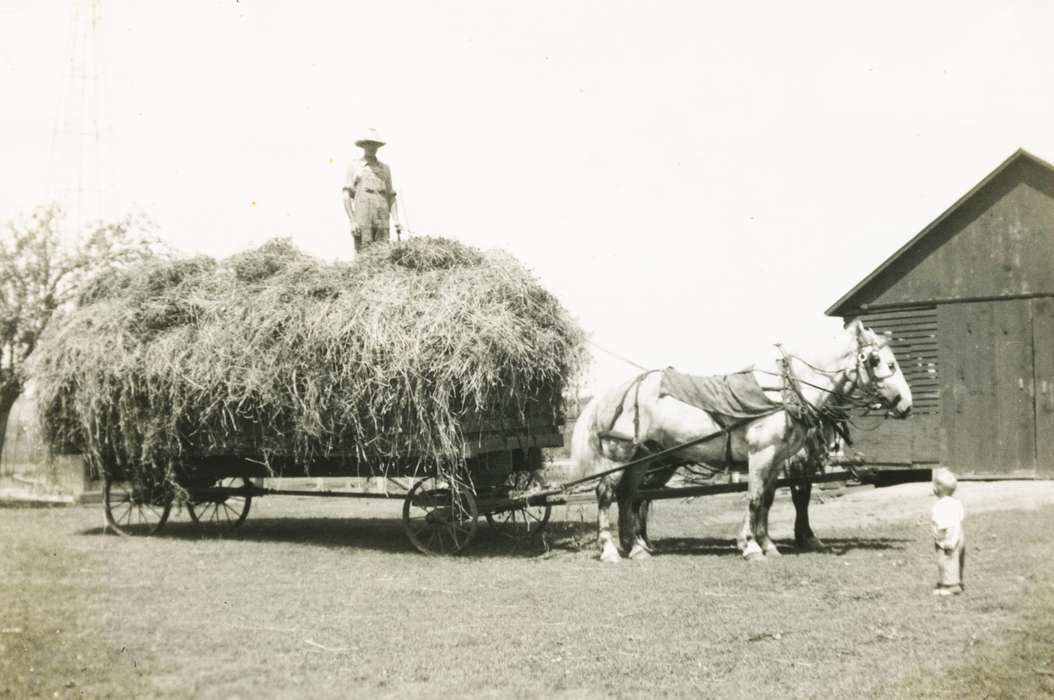 harvest, Farming Equipment, history of Iowa, Iowa History, Rear, Audrey, Barns, Animals, hay, Calmar, IA, wagon, Iowa, Farms, horse, Children, Portraits - Individual