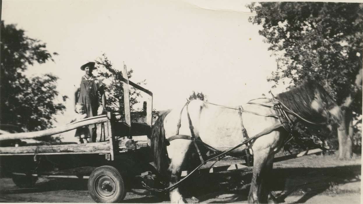 history of Iowa, Iowa History, Smith, Diane, Eddyville, IA, Animals, wagon, Iowa, Farms, horse, Labor and Occupations