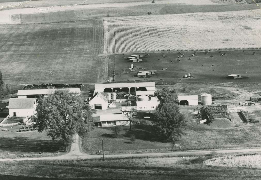 silage, history of Iowa, IA, Iowa History, grain bin, Taylor, Marcia, Barns, pasture, Aerial Shots, Iowa, Farms