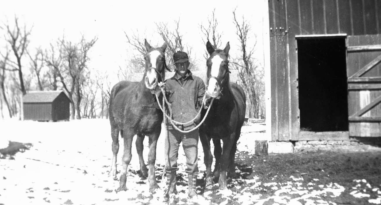 history of Iowa, Walker, Erik, Farms, Animals, Iowa, Cedar Falls, IA, horse, Iowa History, Winter