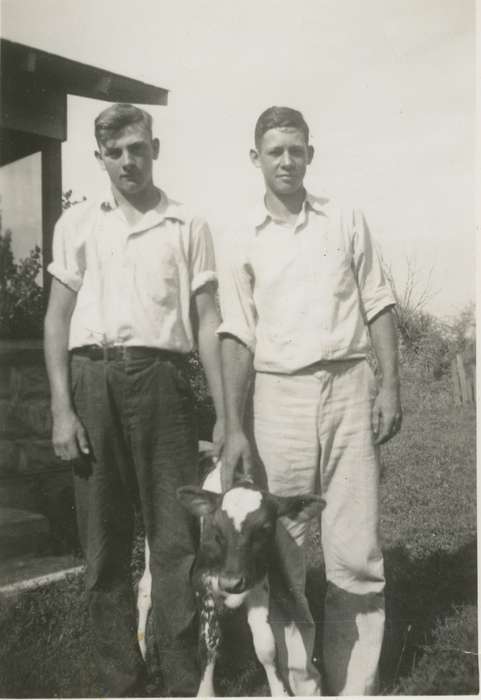 Waytenick, Dave and Karen, Portraits - Group, Dewar, IA, Animals, cow, Iowa History, Iowa, Families, men, Farms, history of Iowa