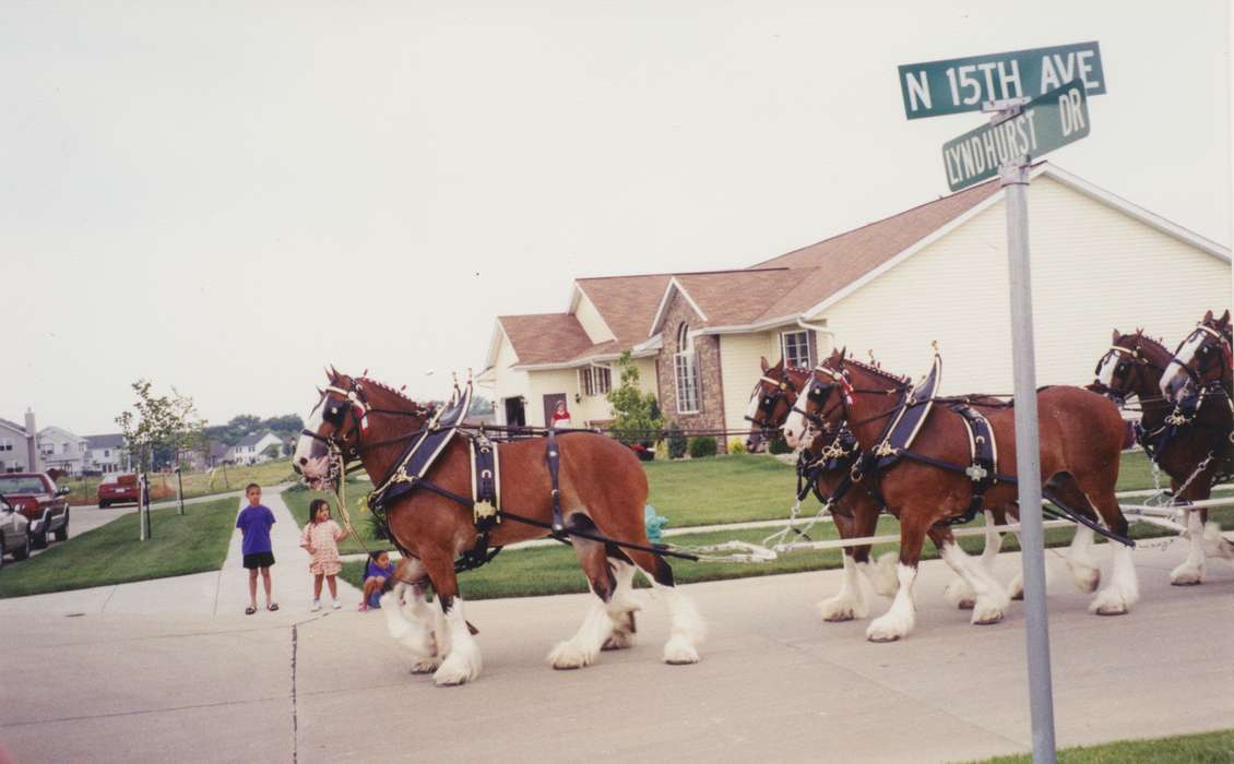 history of Iowa, Iowa History, Hiawatha, IA, Entertainment, parade, Animals, Fairs and Festivals, Theis, Virginia, Iowa, suburb, Cities and Towns, clydesdale, horse, Children, Leisure