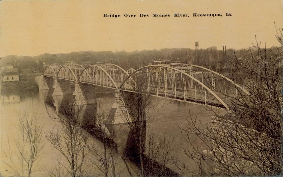 Iowa, Iowa History, river, history of Iowa, Lakes, Rivers, and Streams, Lemberger, LeAnn, Cities and Towns, bridge, tree, Keosauqua, IA