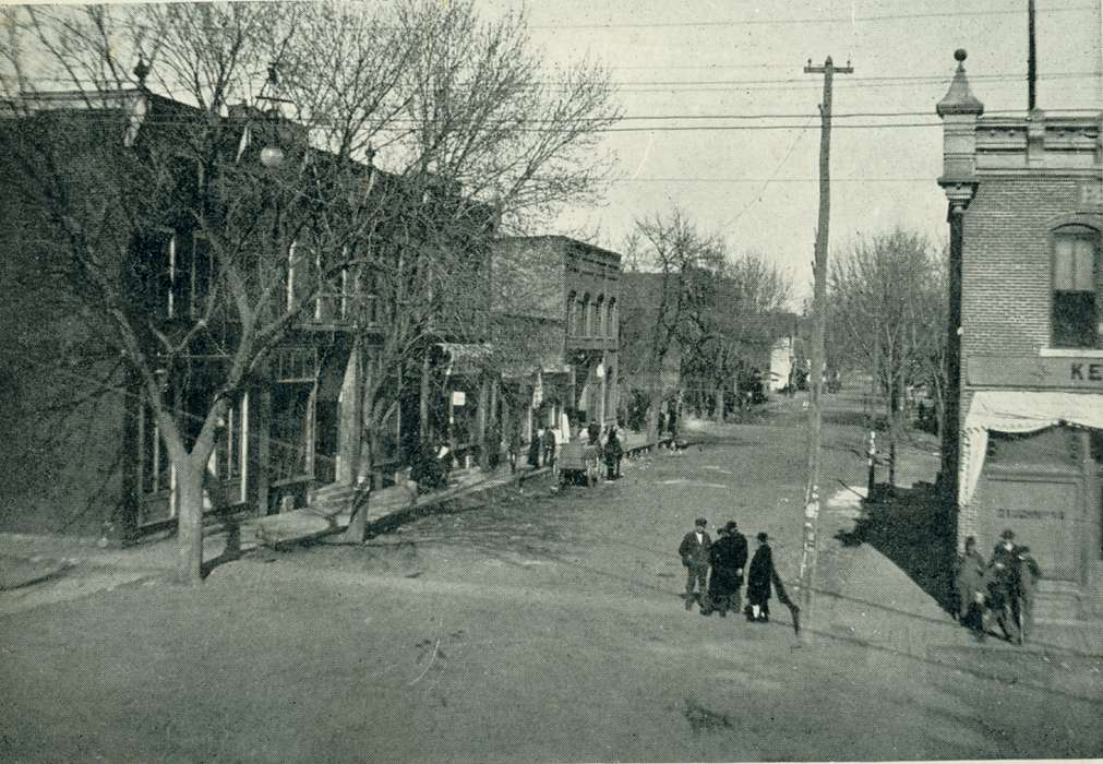 Iowa, storefront, Iowa History, horse and buggy, Main Streets & Town Squares, history of Iowa, Lemberger, LeAnn, Cities and Towns, Businesses and Factories, tree, dirt road, Keosauqua, IA