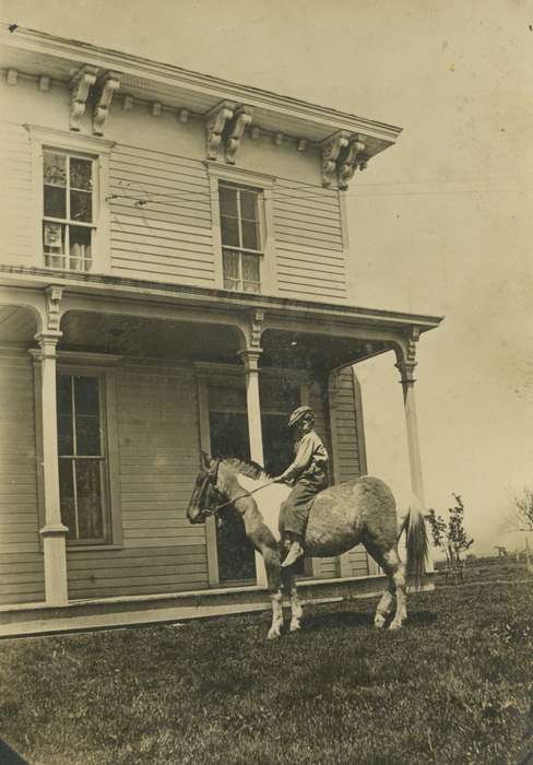 Stater, Connie, Cincinnati, IA, history of Iowa, Farms, Animals, Iowa, horse, Iowa History