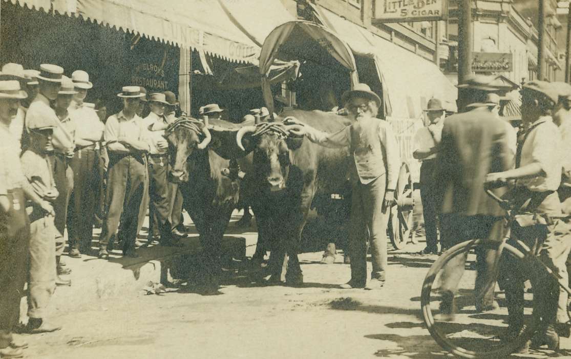 Portraits - Group, boater hat, Iowa, Ottumwa, IA, Animals, Iowa History, Fairs and Festivals, restaurant, Lemberger, LeAnn, Cities and Towns, bicycle, history of Iowa, Main Streets & Town Squares, oxen, wagon