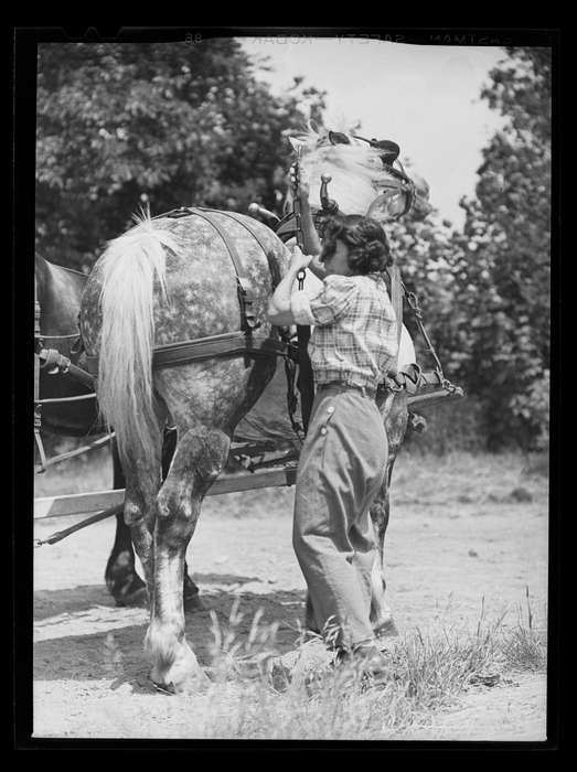 history of Iowa, Storrs, CT, Iowa History, Archives & Special Collections, University of Connecticut Library, Iowa