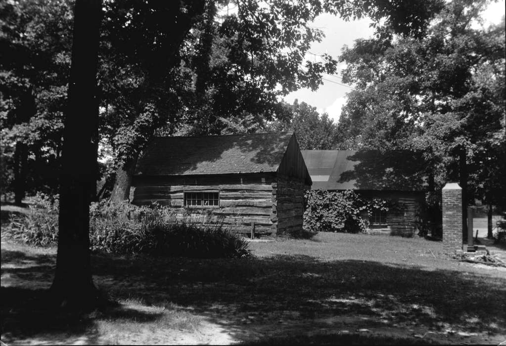 Iowa History, log cabin, Iowa, Lemberger, LeAnn, trees, Iowa City, IA, woods, Homes, history of Iowa