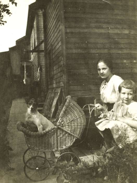 terrier, stroller, dog, Cresco, IA, Homes, history of Iowa, Animals, Iowa, Darland, Robin, Children, Iowa History, Leisure