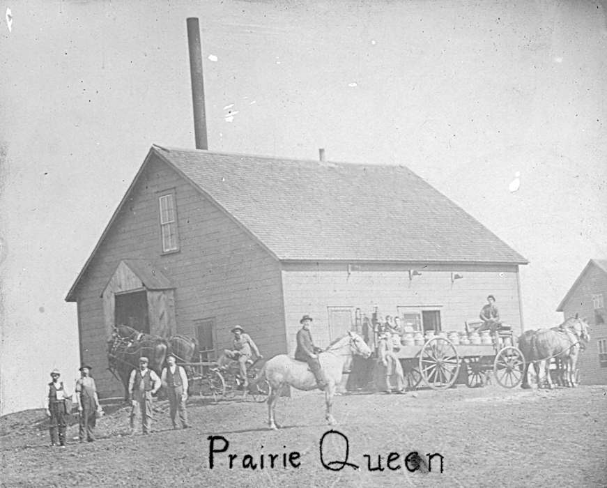 history of Iowa, Iowa History, creamery, Businesses and Factories, Animals, store, Blairsburg, IA, Iowa, Curtis, Leonard