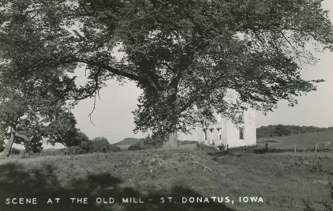 history of Iowa, mill, St. Donatus, IA, Iowa History, Businesses and Factories, field, Iowa, tree, Palczewski, Catherine
