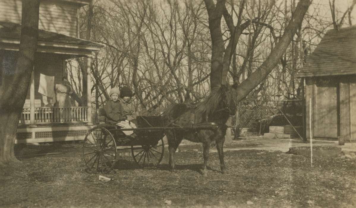 Mortenson, Jill, Iowa History, Macey, IA, Children, Iowa, Farms, history of Iowa, Animals, horse and buggy, pony