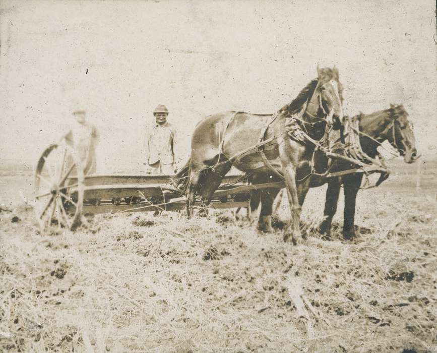 Neessen, Ben, Farming Equipment, Iowa History, Iowa, Farms, history of Iowa, Portraits - Group, Animals, IA, horse, feild
