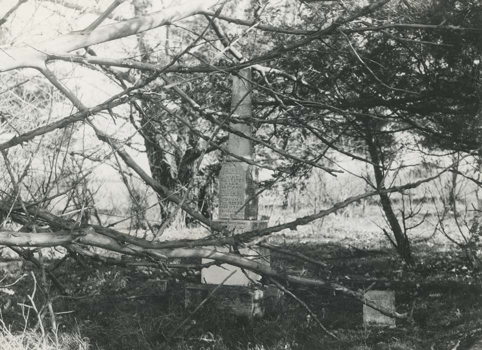 Cemeteries and Funerals, Iowa History, history of Iowa, headstone, Waverly, IA, Iowa, correct date needed, tree branches, Waverly Public Library