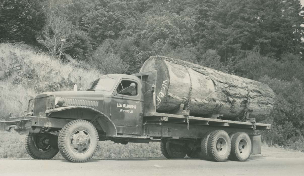 Travel, history of Iowa, Iowa History, truck, Motorized Vehicles, Wenatchee, WA, Iowa, tree, McMurray, Doug