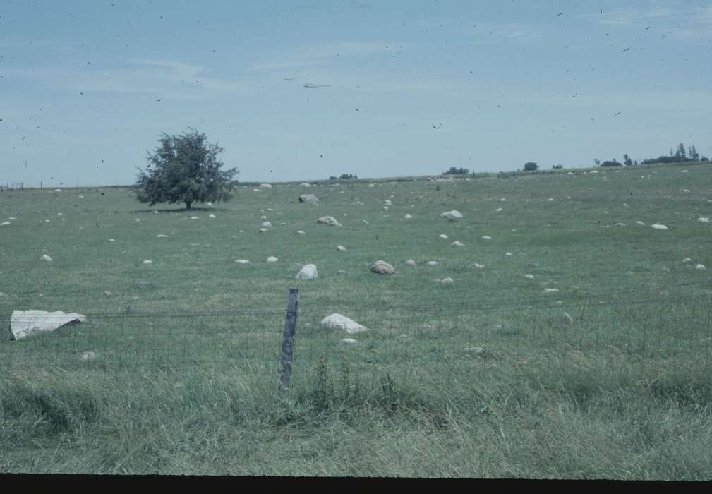 history of Iowa, Iowa History, IA, field, rock, Iowa, Zischke, Ward, Landscapes