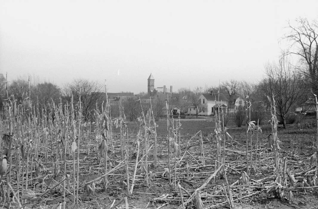 crops, cornstalk, history of Iowa, Library of Congress, Farms, autumn, Iowa, Cities and Towns, corn, Iowa History