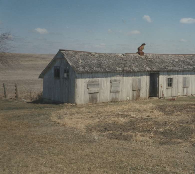 history of Iowa, Iowa History, Barns, chicken coop, Powers, Janice, Central City, IA, Iowa, Farms