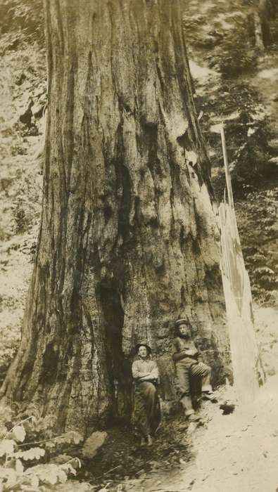 Portraits - Group, Travel, history of Iowa, Iowa History, Redwood National Park, CA, Iowa, tree, McMurray, Doug, redwood