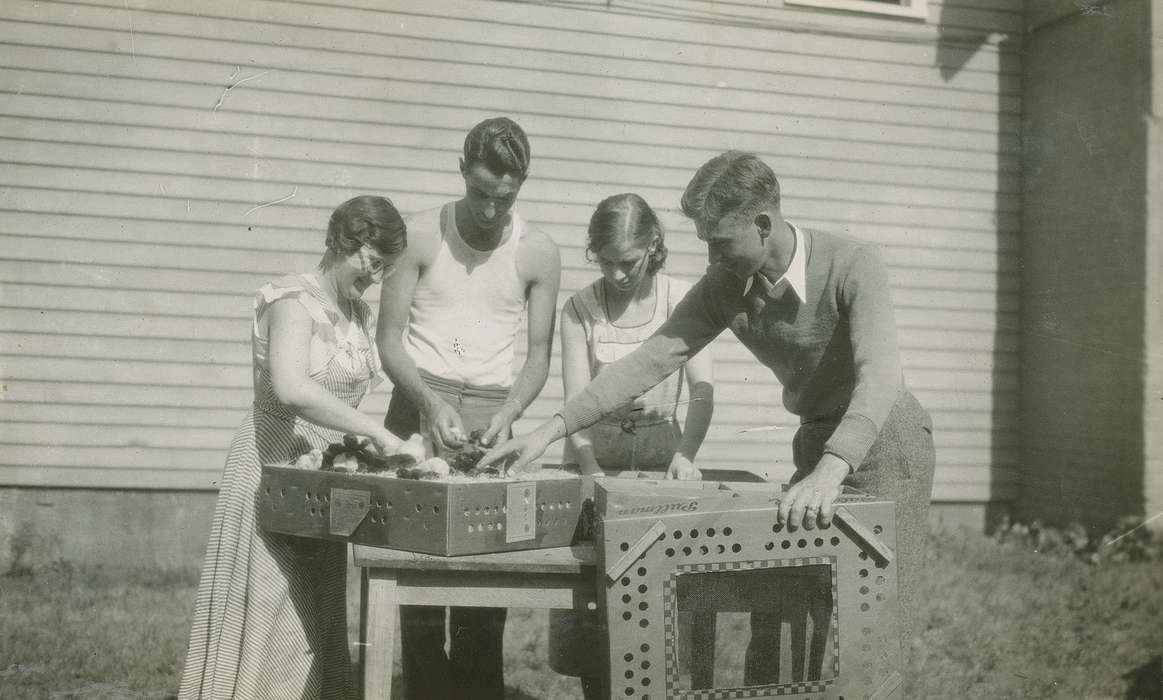 Animals, Iowa History, Iowa, hatchery, Labor and Occupations, chicks, McMurray, Doug, Webster City, IA, history of Iowa