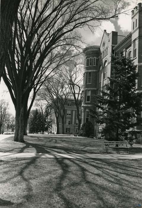 brick building, state college of iowa, Iowa History, tree, Schools and Education, Iowa, university of northern iowa, uni, gilchrist, UNI Special Collections & University Archives, Cedar Falls, IA, history of Iowa