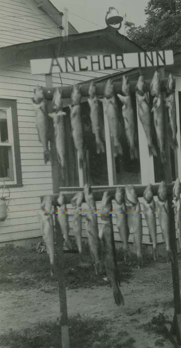 Elderkin, Don, Animals, Iowa History, Iowa, Spring Lake, MN, fishing, history of Iowa, fish