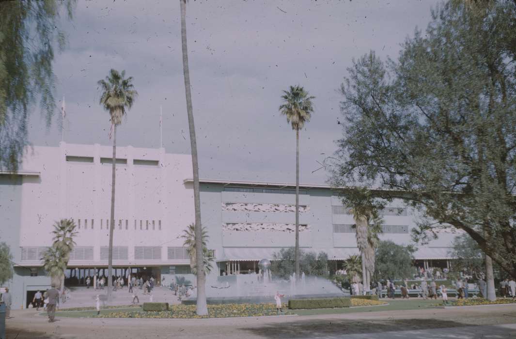 history of Iowa, Sack, Renata, santa anita, Entertainment, Iowa History, race track, Arcadia, CA, palm tree, horse racing, Iowa, horse race